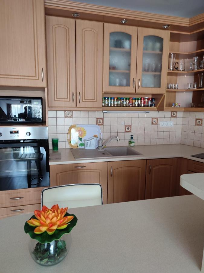 Larix Apartman Sárvár Zewnętrze zdjęcie